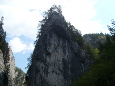 Bicazklamm