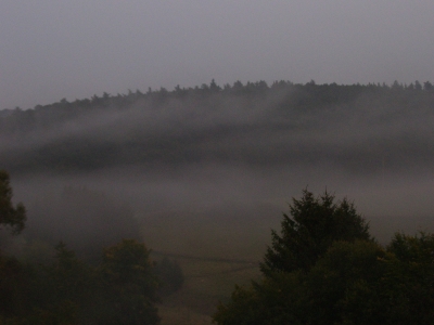 Nebel_2