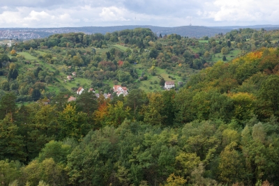 Herbst in der Stadt 1