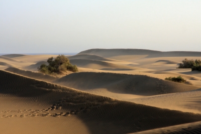 Dunas de Maspalomas