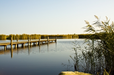 Neusiedler See Steg