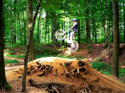 Moutainbiker im Wald-1