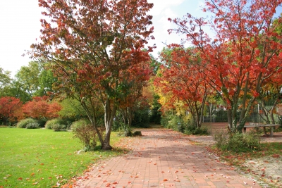 Herbst in der Stadt 8