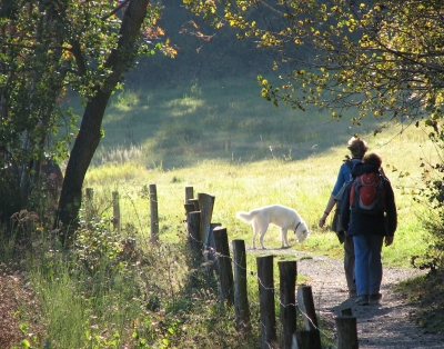 Herbstspaziergang