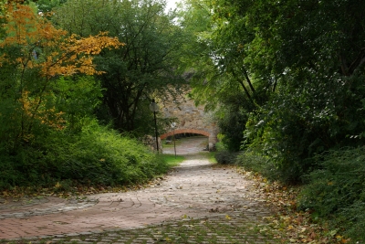 Herbst in der Stadt 9