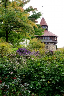 Herbst in der Stadt 10