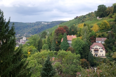 Herbst in der Stadt 12