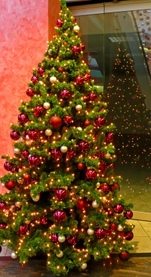 Weihnachtsbaum in Rot