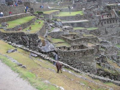 Macchu Pichu 2008