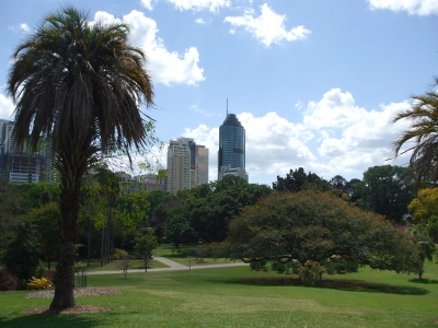 Botanischer Garten mit Hochhäusern im Hintergrund