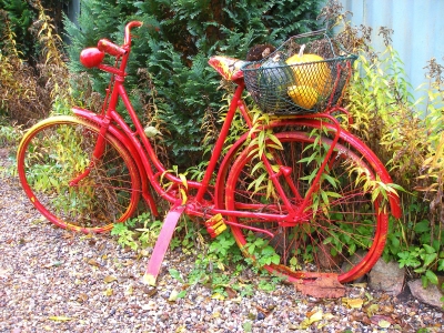 Fahrrad im Herbst