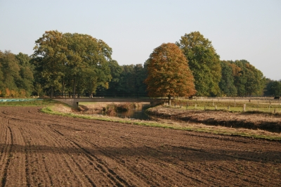 Herbstlandschaft