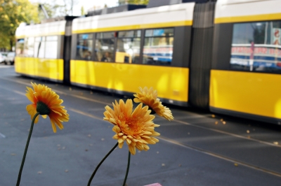 Berlin Oranienburger Straße