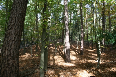 Herbstlandschaft