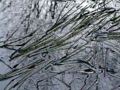 Wasser im Gegenlicht