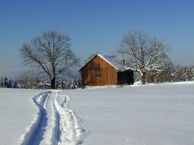 Spuren im Schnee