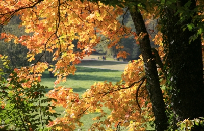 Herbstspaziergang