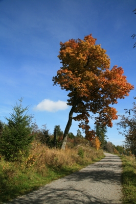 Einladender Wander-Herbst