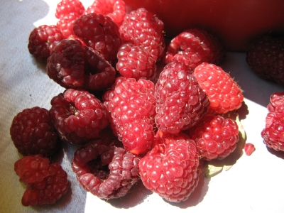 Himbeeren