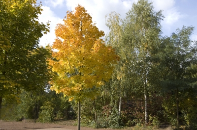 Herbstkontraste