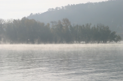 Nebel am Rhein