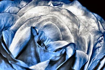 RoSe BlAu II