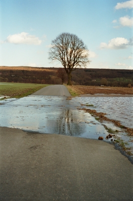 Landschaft