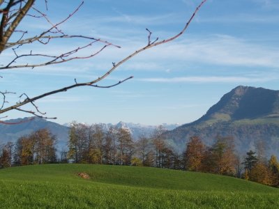 Rigi mit Schwyzer- und Glarner-Alpen