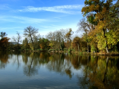 Herbstbäume mit und ohne Laub am See