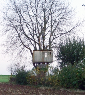 Das Baumhaus im Kirschbaum