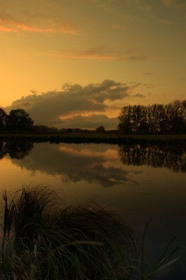 Emsauenwiese mit Seitenarm