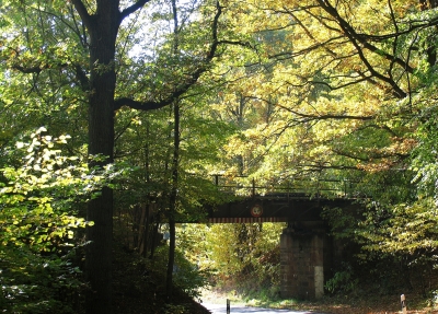Eisenbahnbrücke im Herbst
