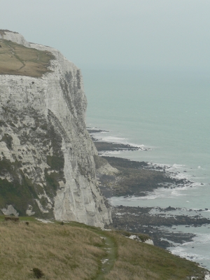 Kalkfelsen von Dover