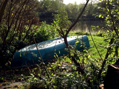 Herbst am See: Boot