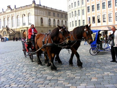 mit Pferd und Wagen in Dresden