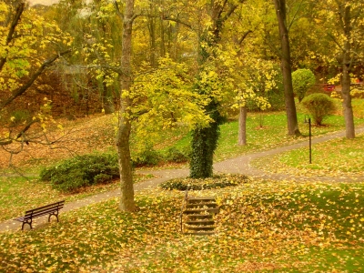 Herbst im Park