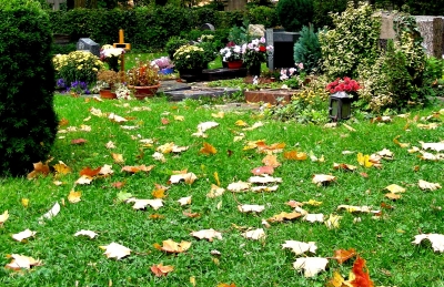 Friedhof, Urnengräber in Erlangen