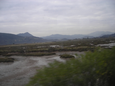 Sumpfgebiet Urdaibai (Baskenland, Spanien) aus dem Zug