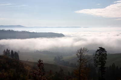 Über den Wolken