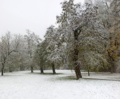 Der erste Schnee in Fulda - Schlosspark