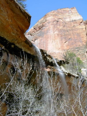 Wasserfall im Zion-NP