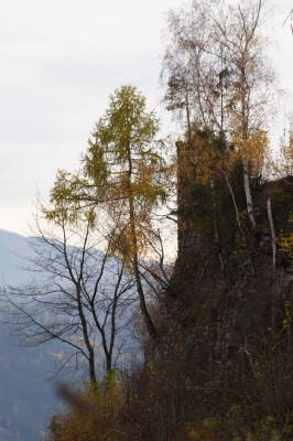 Am Felshang zur Burg Kaisersberg