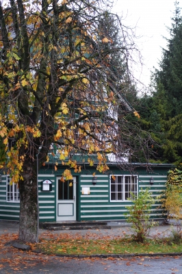 Herbstzeit im Ennstal