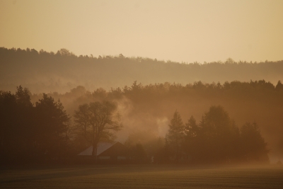 Morgengrauen