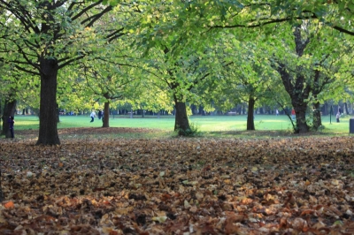 frühherbst