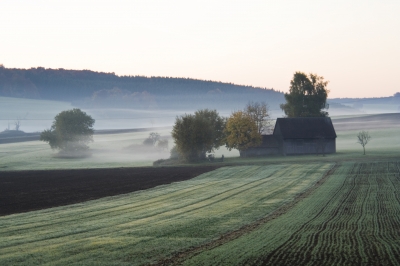 Herbst