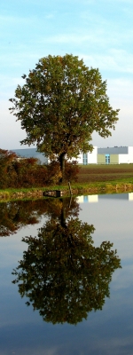 Spiegelung in Heßdorf