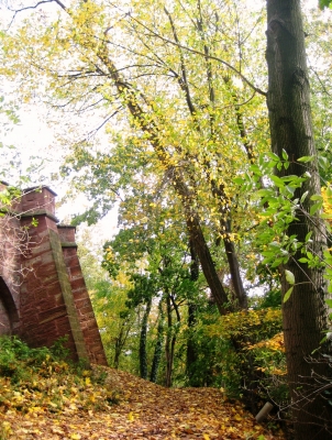 Herbst an der Burg 1