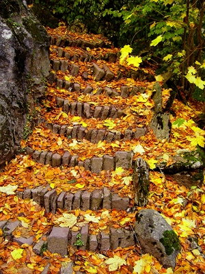 Natursteintreppe im Herbst