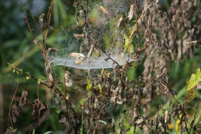 Herbstzeit